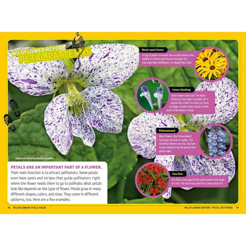 Ultimate Explorer Field Guide: Wildflowers (National Geographic Kids) National Geographic