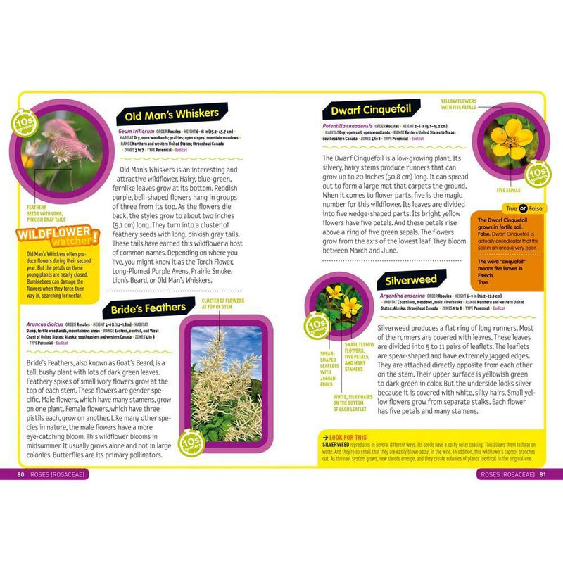 Ultimate Explorer Field Guide: Wildflowers (National Geographic Kids) National Geographic