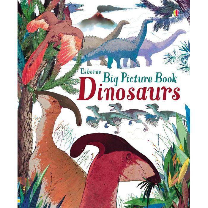 Usborne Big Picture book Dinosaurs Usborne