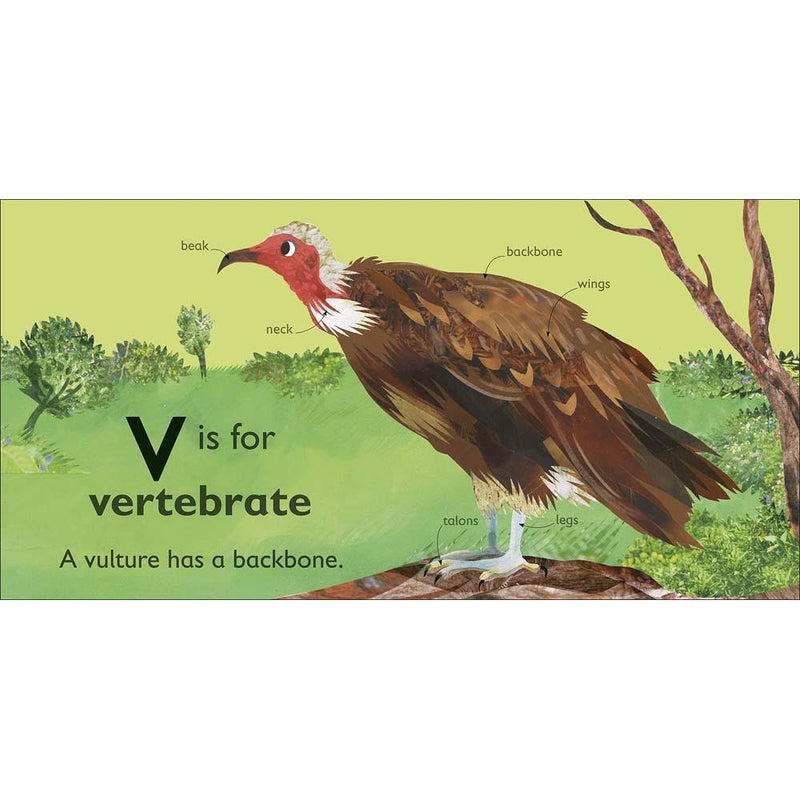V is for Vulture (Board book) DK UK