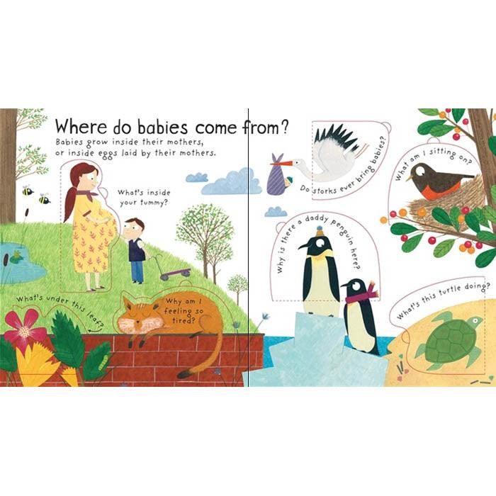 First Questions and Answers Where do babies come from? Usborne