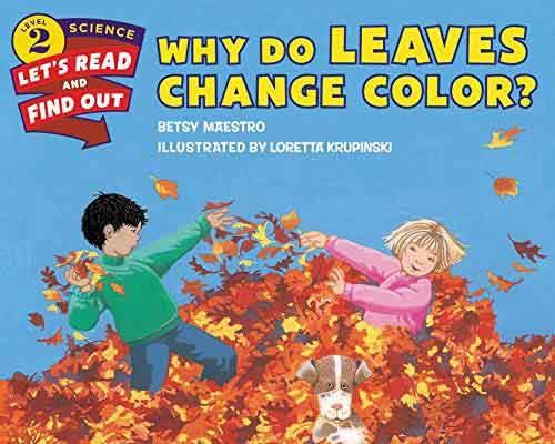 Why Do Leaves Change Color? (Paperback) Harpercollins US