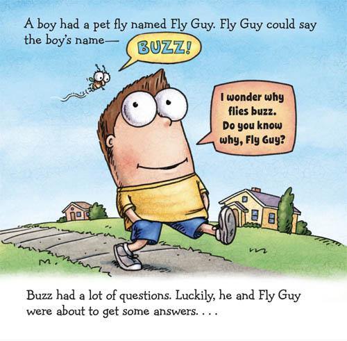 Fly Guy Presents: Why, Fly Guy? (Tedd Arnold) Scholastic