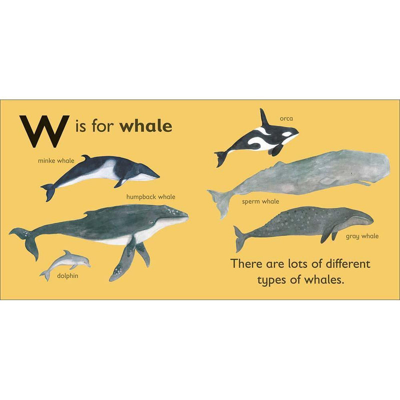 W is for Whale (Board book) DK UK