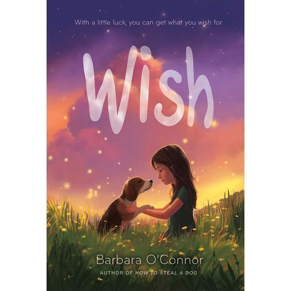 Wish (Paperback) (Barbara O'Connor) Macmillan US