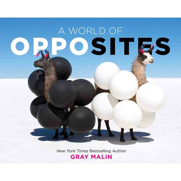 World of Opposites, A (Hardback) - 買書書 BuyBookBook