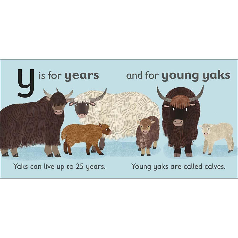 Y is for Yak (Board book) DK UK