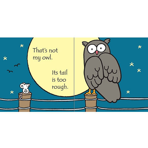 That's not my owl... Usborne